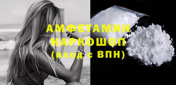 гашик Бородино