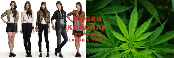 гашик Бородино