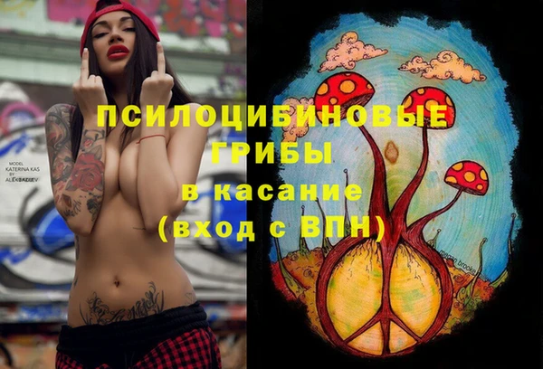 гашик Бородино
