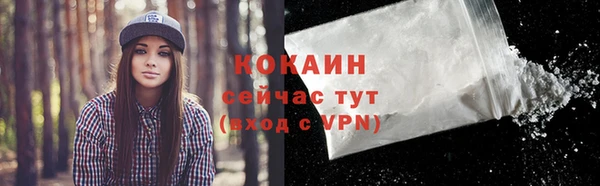 гашик Бородино