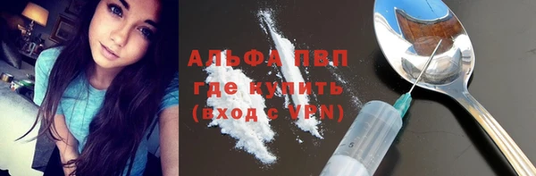 гашик Бородино