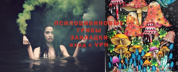 гашик Бородино