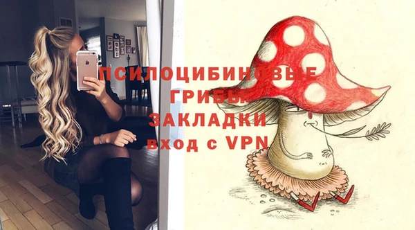 гашик Бородино